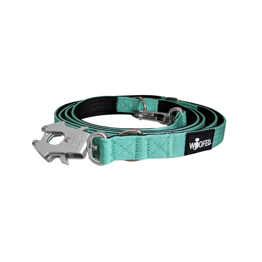 WOOFED - Leine 2,5m mint