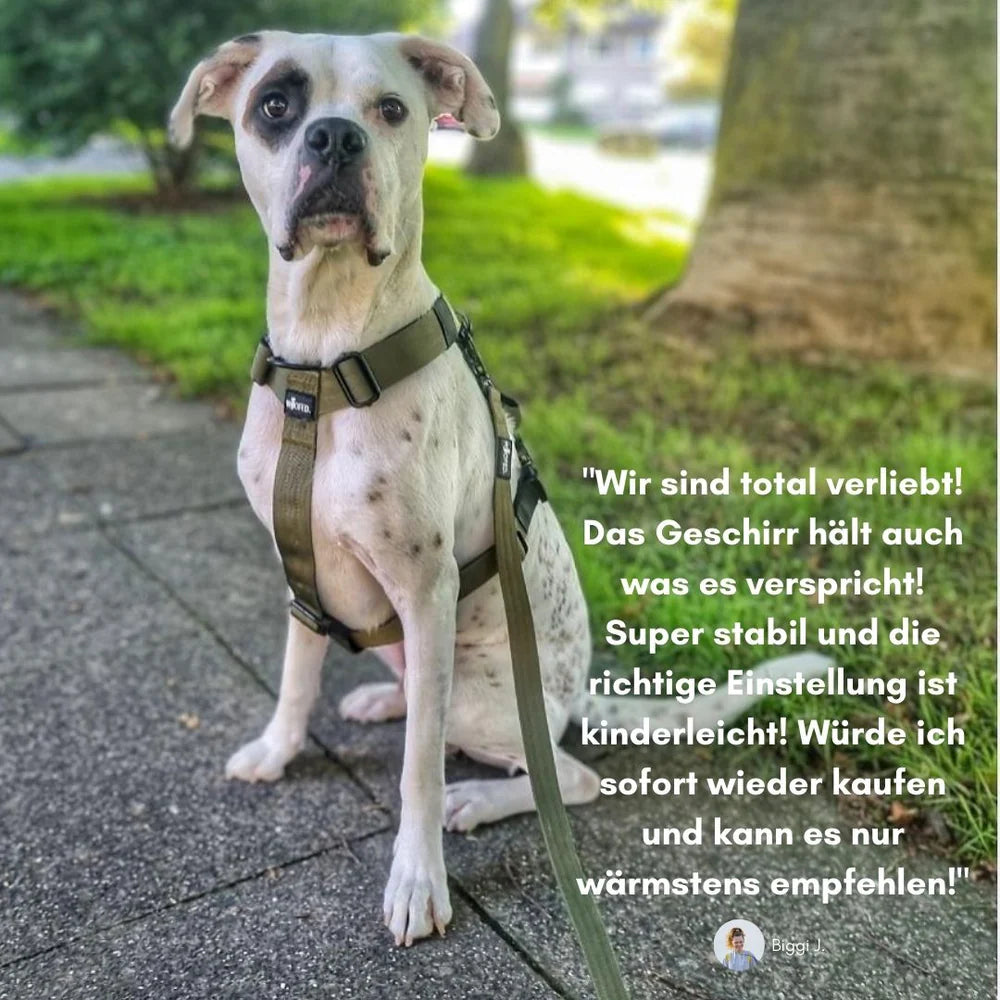 WOOFED - Tactical Y-Geschirr, dunkelgrün