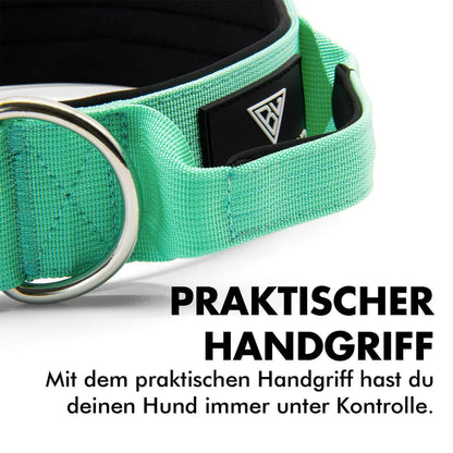 BULLSLAND DOGWEAR - Halsband mit Griff - Mint Green