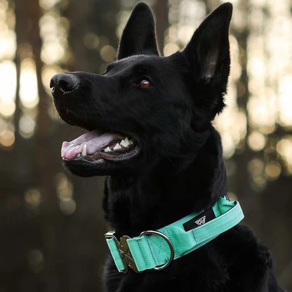 BULLSLAND DOGWEAR - Halsband mit Griff - Mint Green