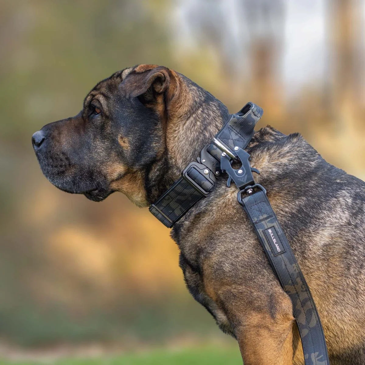 BULLSLAND DOGWEAR - Halsband mit Griff - Camo