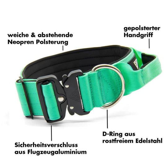 BULLSLAND DOGWEAR - Halsband mit Griff - Mint Green