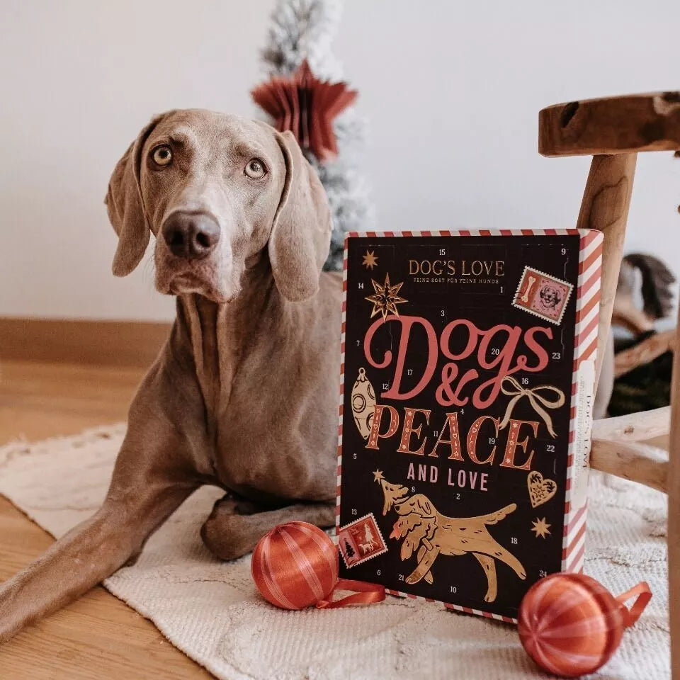 DOG'S LOVE - Hunde Adventskalender 2025